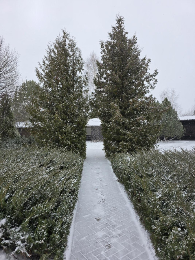 Большой дом