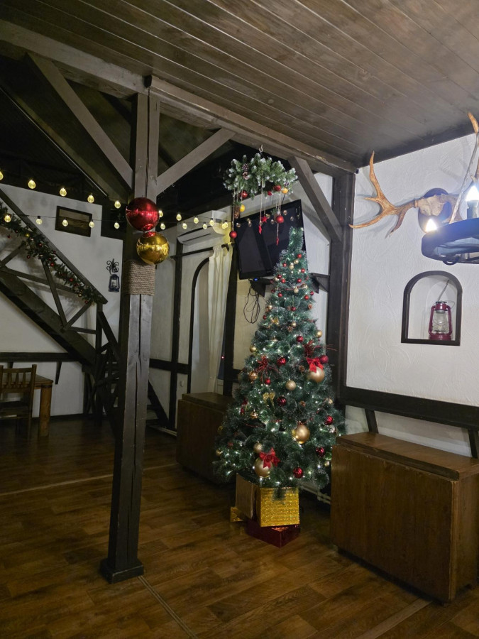 Большой дом