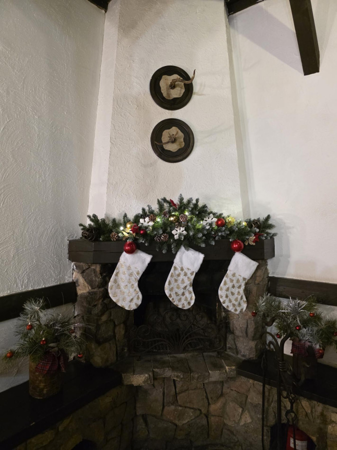 Большой дом