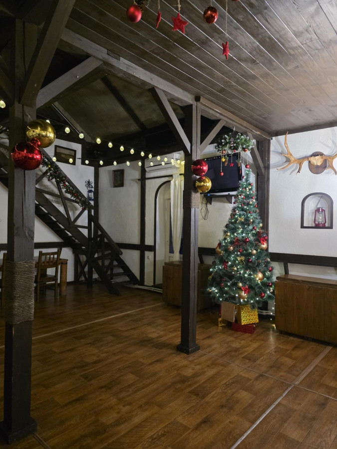 Большой дом