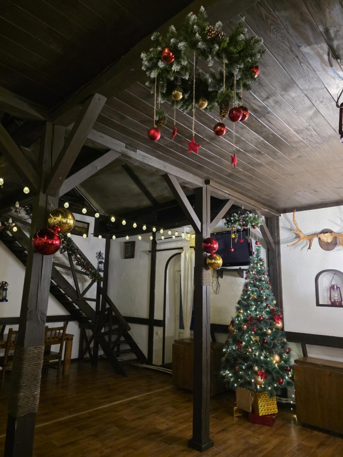 Большой дом