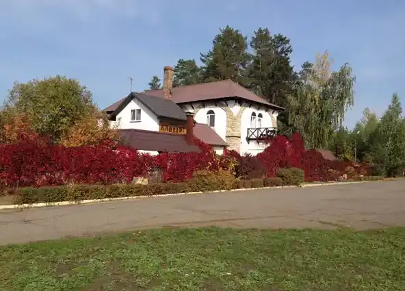 Большой дом