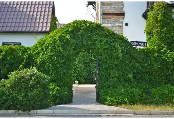 Большой дом