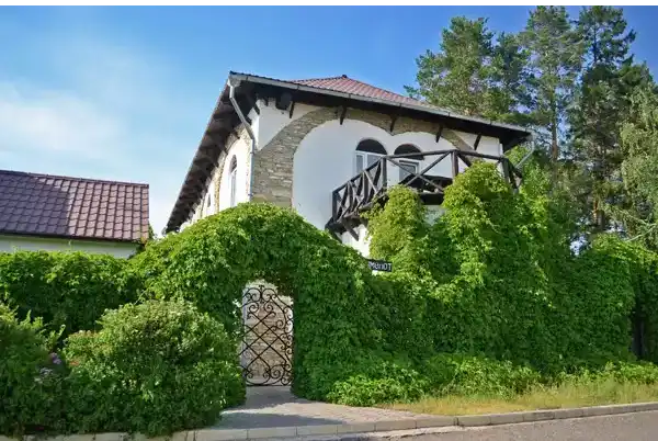 Большой дом