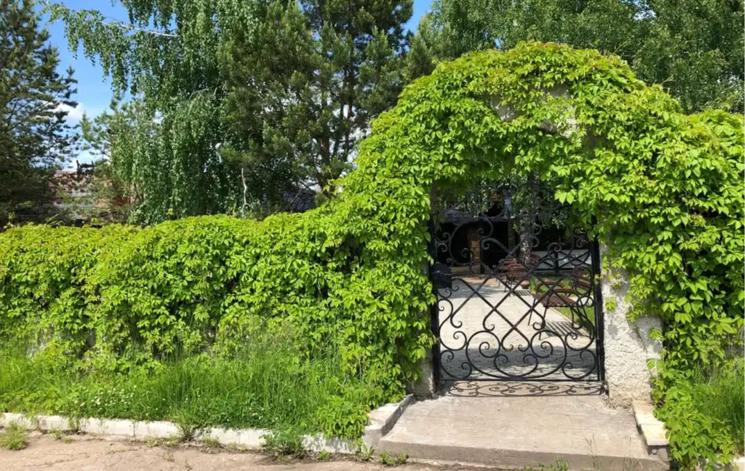 Летняя веранда